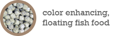color enhancing, floating fish food